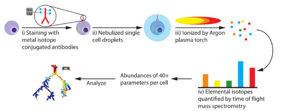 1792493694286401536-单细胞质谱流式技术分析.png