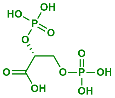 1838825855330668544-TheStructureofBPG.png