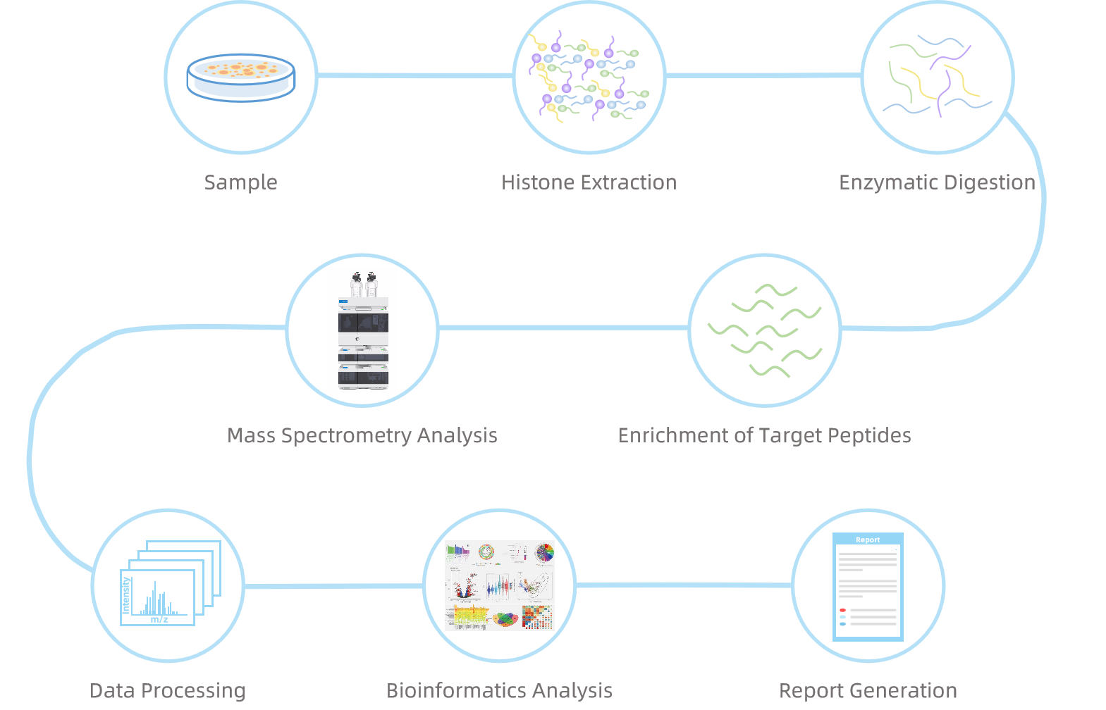 1845717771628433408-WorkflowforHistoneβ-HydroxybutyrylationAnalysis.png