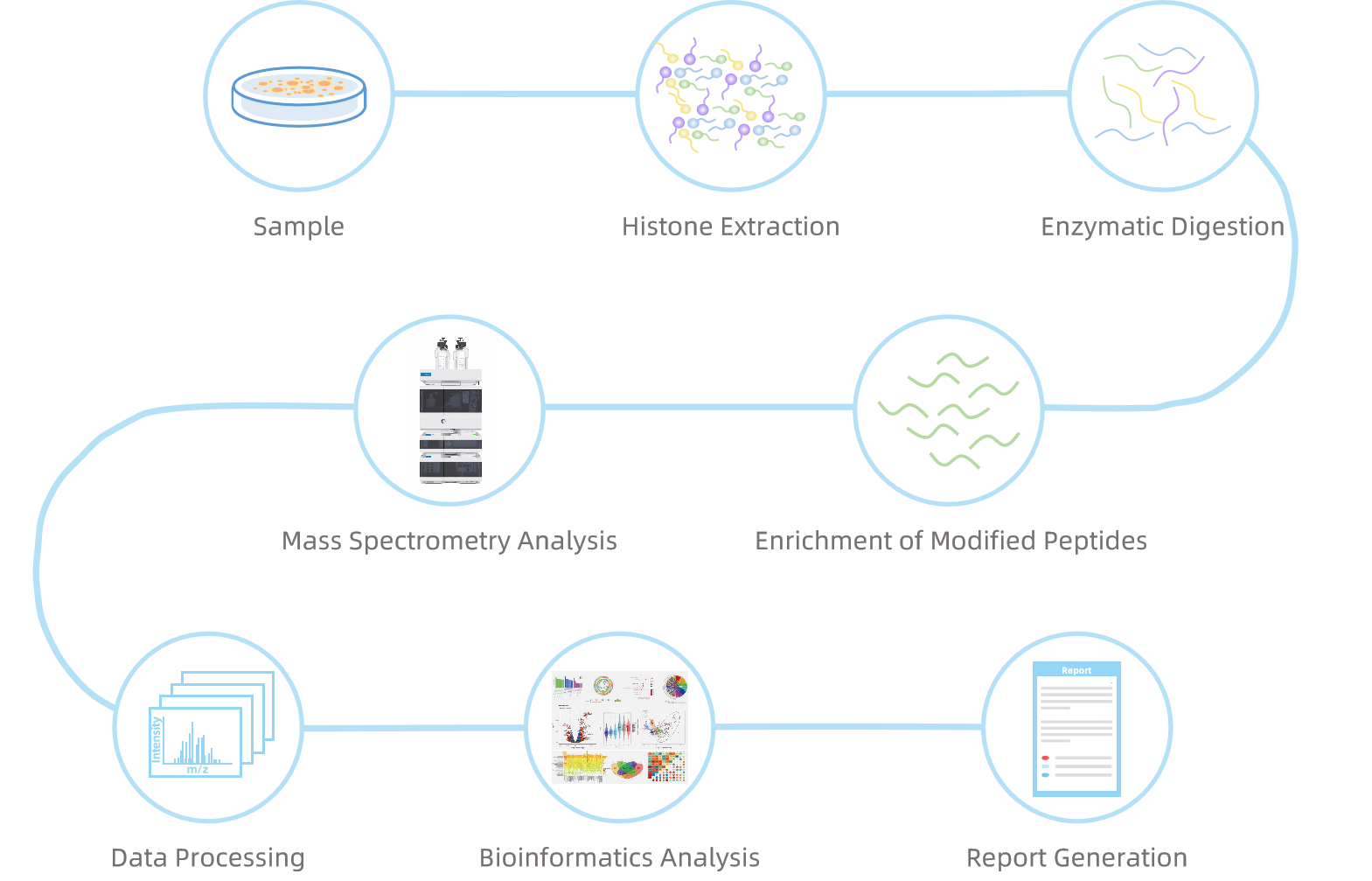 1845998544218607616-WorkflowforHistoneLactylationAnalysis.png