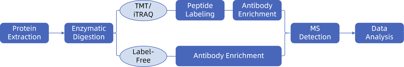 1846111280323743744-TheWorkflowofProteinCrotonylationAnalysis.png