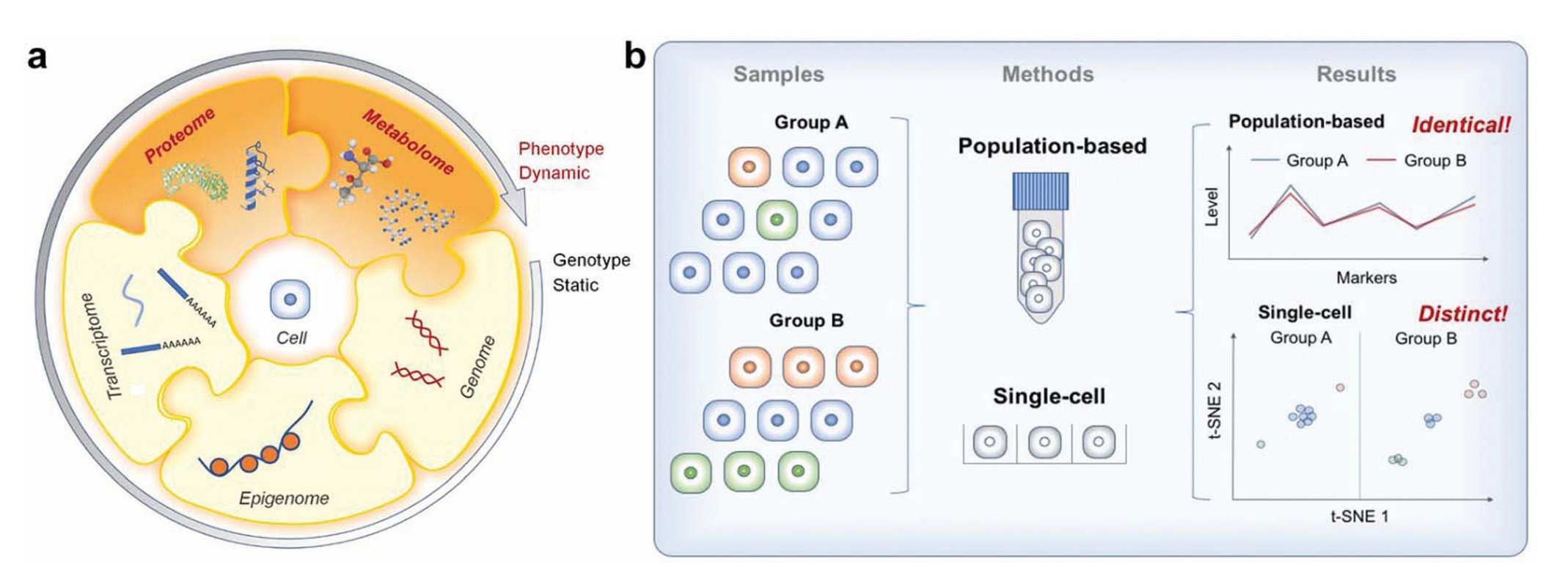 1845021144911564800-Single-CellProteomicsAnalysis1.jpg