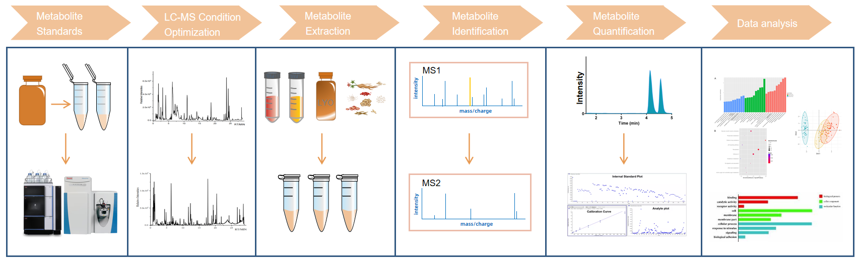 α-KMV Analysis Service | MtoZ Biolabs