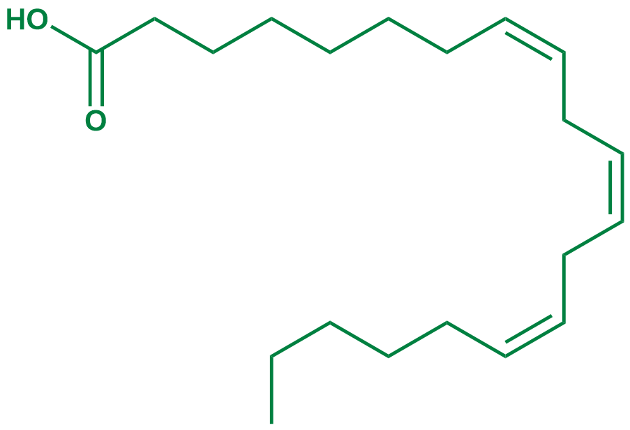 Dgla Structure Dihomo-γ-Linolenic Acid Analysis Service | MtoZ Biolabs