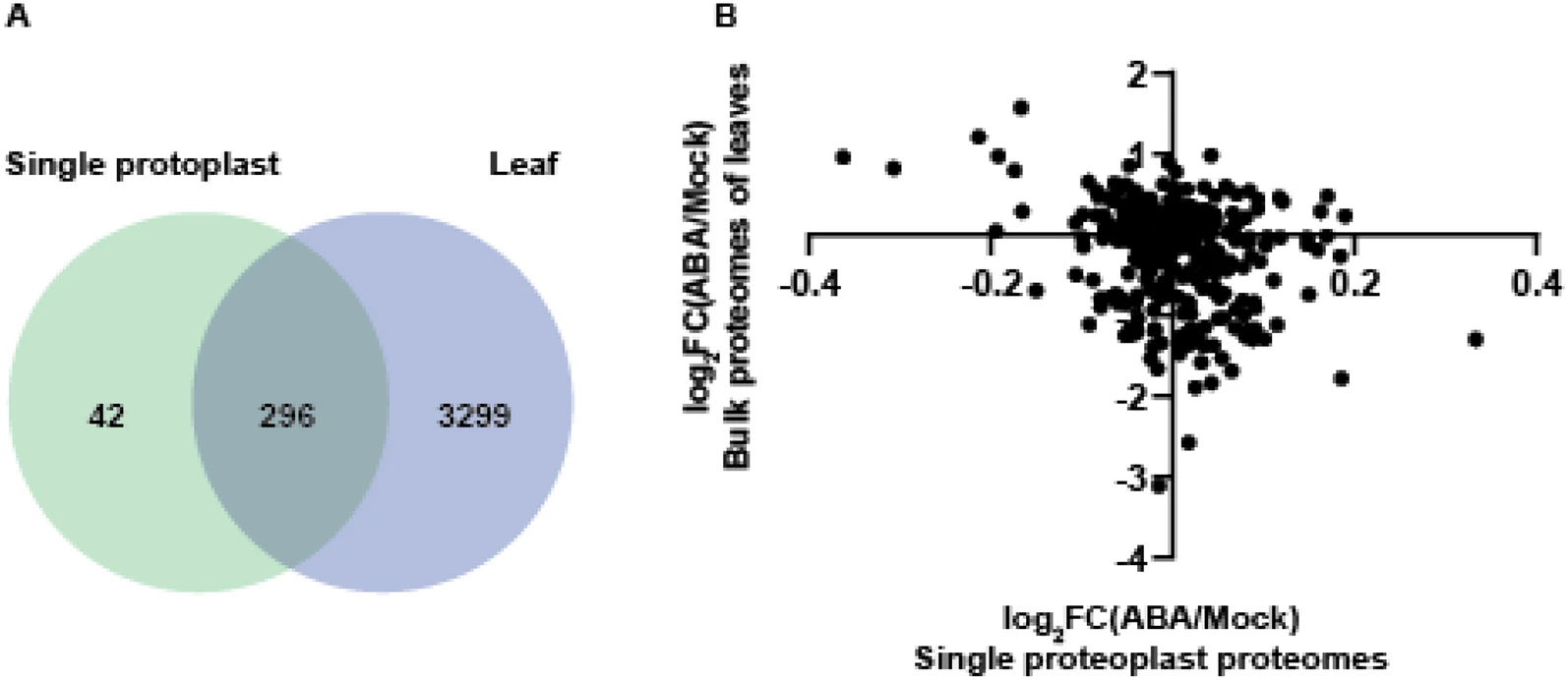 1847111716677734400-Single-ProtoplastProteomicsAnalysis3.png