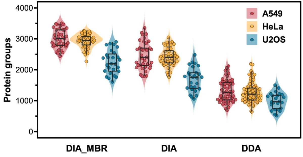 1847149391841447936-Single-CellProteomicsAnalysis3.png