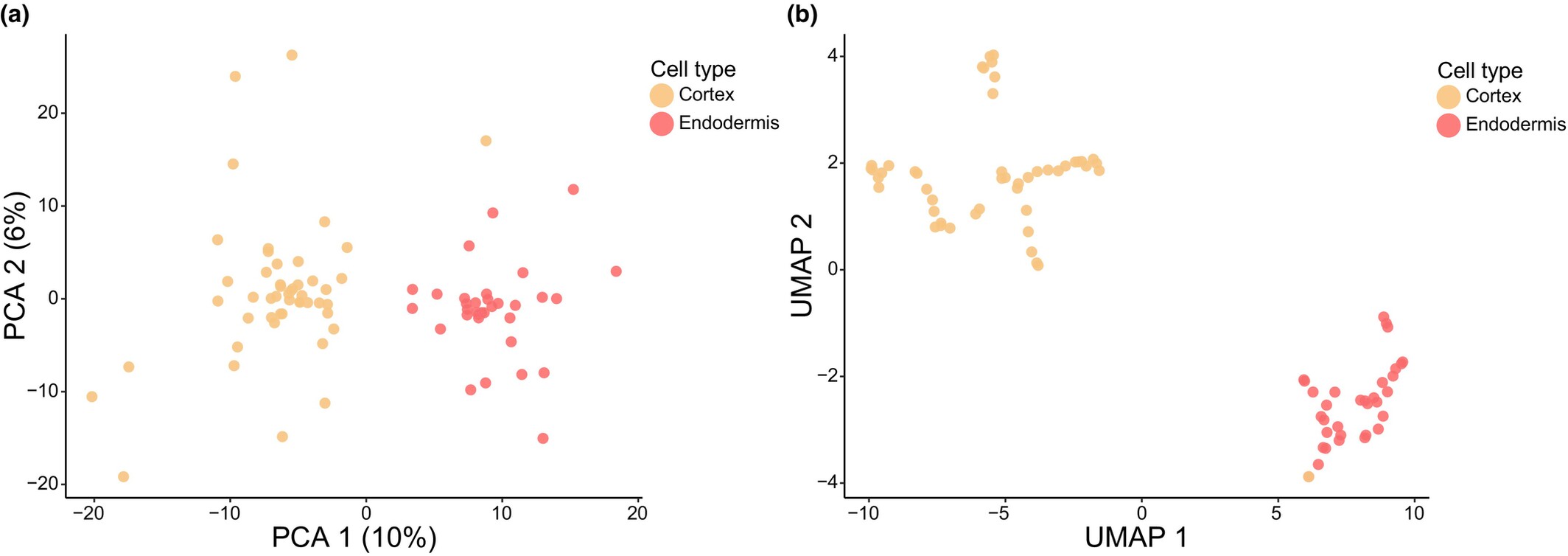 1847155598534758400-PlantSingle-CellProteomicsAnalysis2.jpg