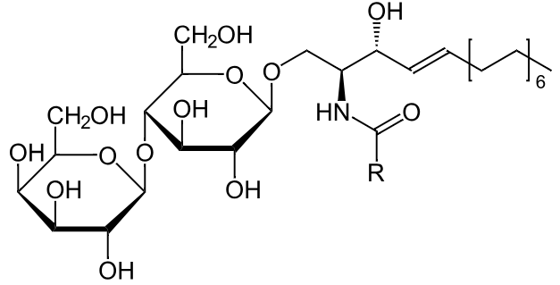 1847188603508740096-TheStructureofLactosylceramide.png