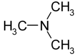 1847198256867168256-TheStructureofTrimetlylamine.png