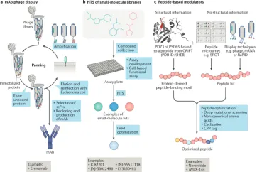 1848186094322528256-small-molecule-drug-screening-receptor-categories-3.png