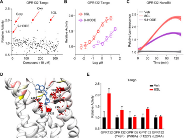 1848186284781678592-small-molecule-drug-screening-receptor-categories-8.png