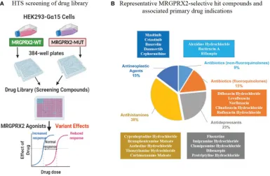 1848186317572747264-small-molecule-drug-screening-receptor-categories-9.png