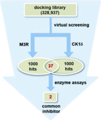 1848186352356110336-small-molecule-drug-screening-receptor-categories-10.png