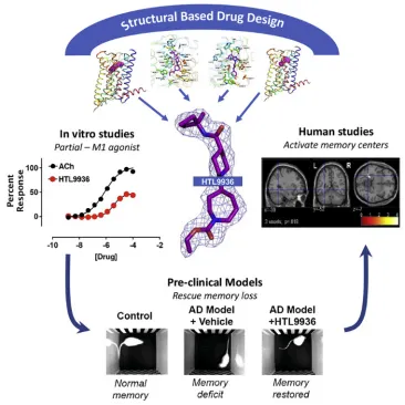 1848186382068559872-small-molecule-drug-screening-receptor-categories-11.png