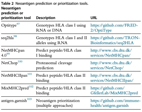 1848188812420263936-identification-of-tumor-associated-antigens-9.jpg