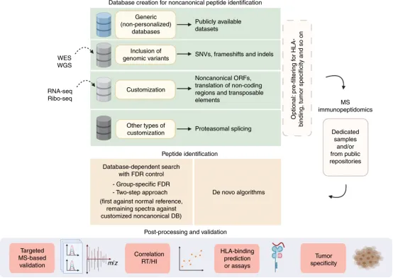 1848188894355992576-identification-of-tumor-associated-antigens-9.png