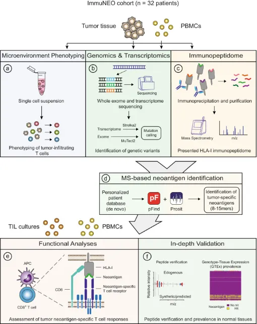 1848188974064545792-identification-of-tumor-associated-antigens-11.png