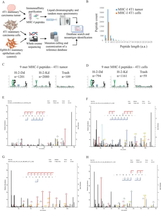 1848189044382052352-identification-of-tumor-associated-antigens-13.png