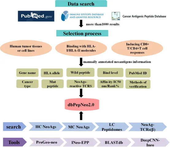 1848189204742877184-identification-of-tumor-associated-antigens-16.png