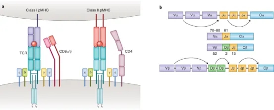 1848191665834635264-screening-of-tumor-associated-antigens-1-1.jpg