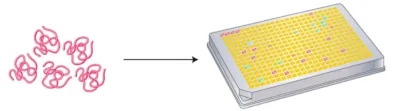 1848191824219942912-screening-of-tumor-associated-antigens-1-5.jpg