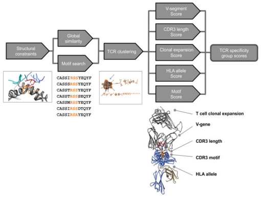 1848191942159577088-screening-of-tumor-associated-antigens-1-8.jpg