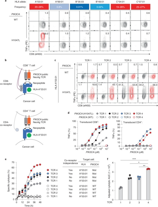 1848192011847938048-screening-of-tumor-associated-antigens-1-10.jpg