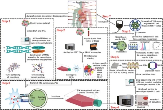 1848192178860929024-screening-of-tumor-associated-antigens--14.jpg