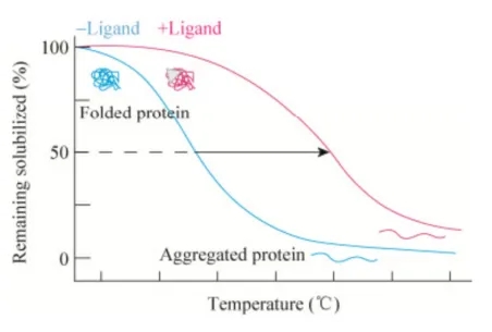 1848194498109714432-thermal-proteome-profiling-tpp-3.jpg