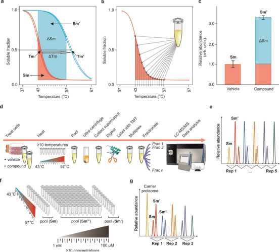 1848194687046332416-thermal-proteome-profiling-tpp-7.png