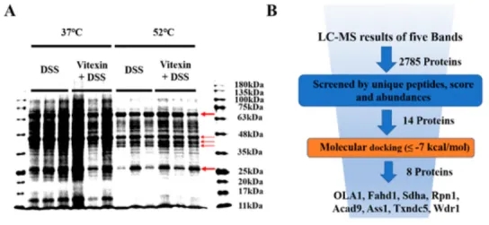 1848194760639590400-thermal-proteome-profiling-tpp-9.jpg