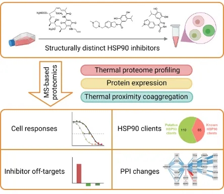 1848194857947443200-thermal-proteome-profiling-tpp-11.jpg