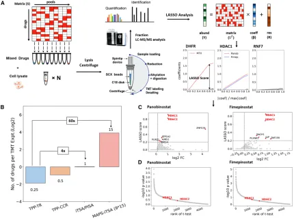 1848194903887654912-thermal-proteome-profiling-tpp-12.png