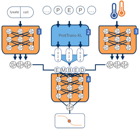 1848194942219399168-thermal-proteome-profiling-tpp-13.png