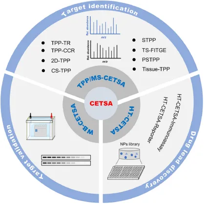 1848194976574943232-thermal-proteome-profiling-tpp-14.png