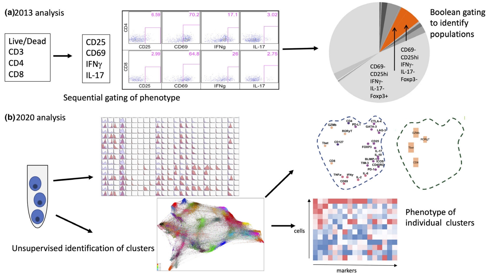 1848195963800858624-single-cell-mass-cytometry-analysis-112.jpg