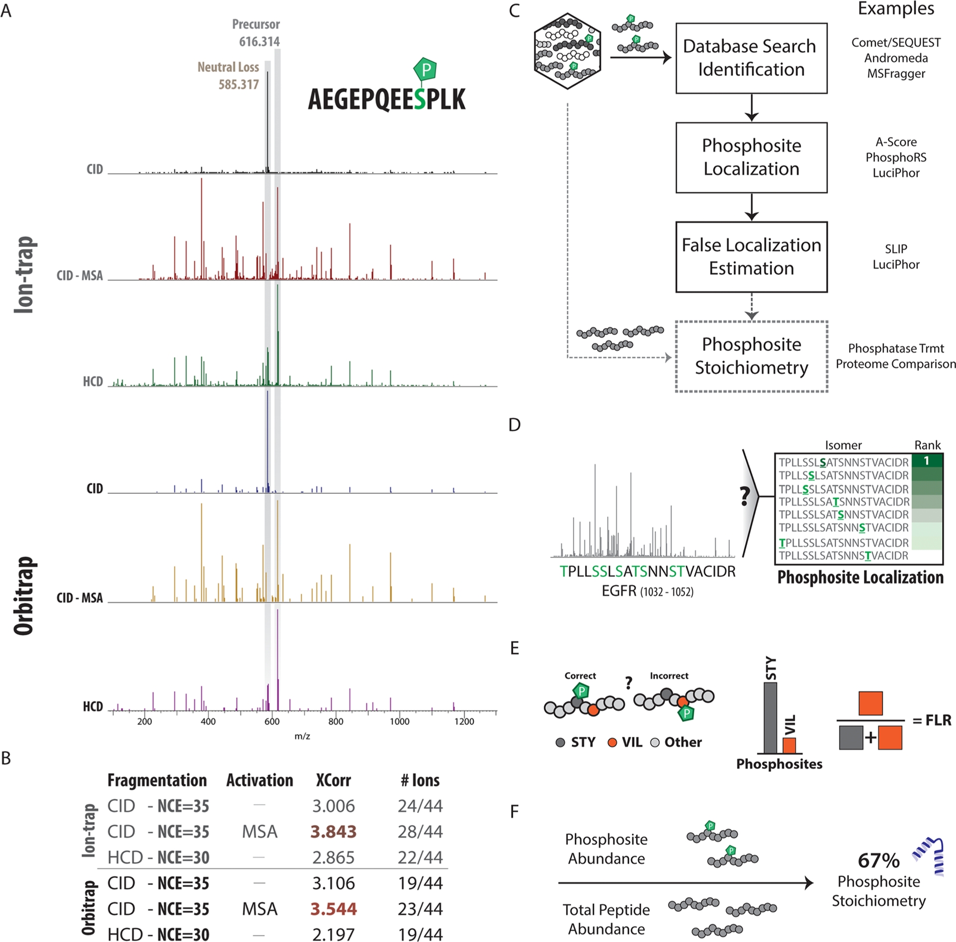 1848198564604882944-phosphorylation-quantitative-proteomics-analysis-4.jpg