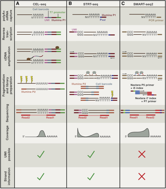 1848201393356746752-single-cell-transcriptome-analysis-3.png