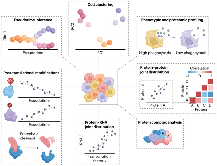 1848204746149146624-quantitative-proteomics-profiling-13.jpg