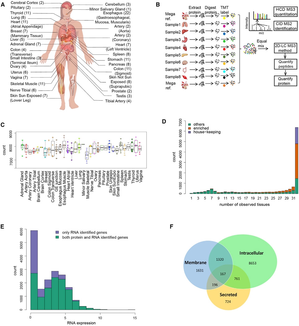 1848204836892913664-quantitative-proteomics-profiling-10.jpg