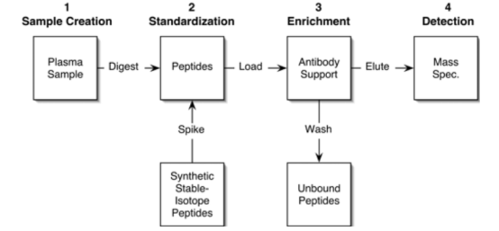 1848204887547523072-quantitative-proteomics-profiling-8.png