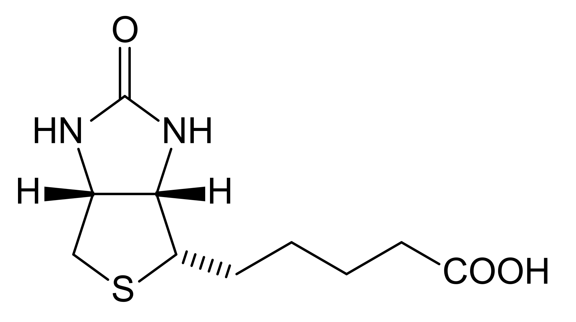 1840678012749205504-MolecularStructureofVitaminB7Biotin.png