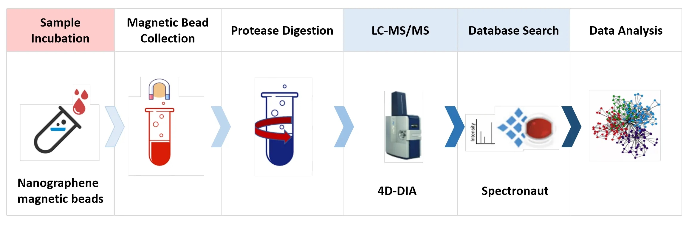 1840680582095949824-TheWorkflowofDeepBlood4D-DIAProteomics.jpg