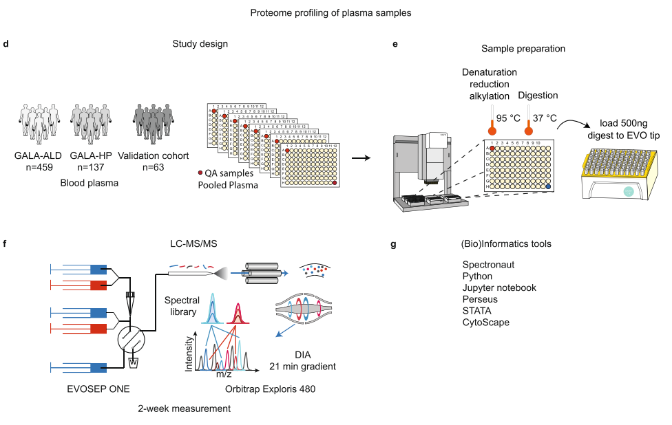 1840681076264652800-TheWorkflowofLargeCohortBloodProteomics.png