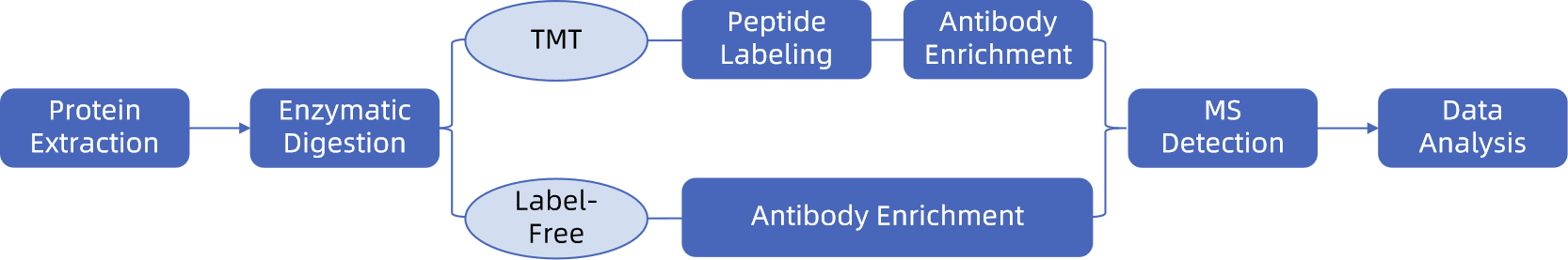 1840689970701520896-TheWorkflowofQuantitativeMalonylationService.png