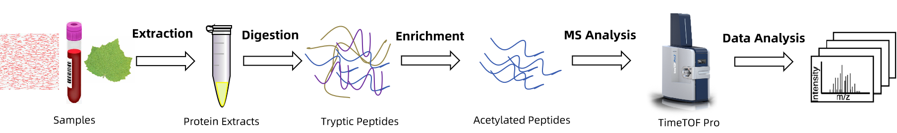 1843461628914946048-TheWorkflowof4D-AcetylationProteomics.png