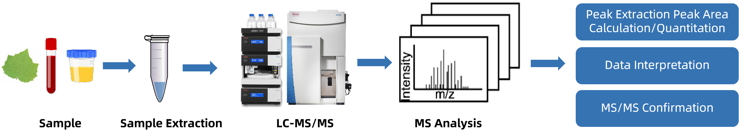1843466770301177856-TheWorkflowofFlavoneGlycosidesAnalysis.png