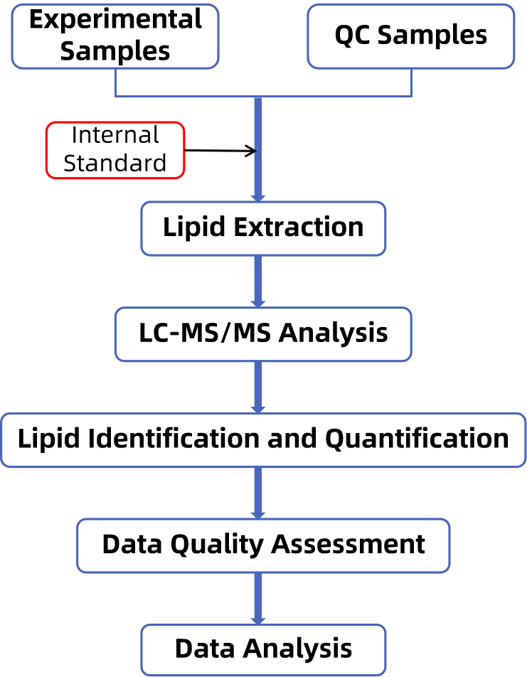 1846092295771377664-TheWorkflowofAbsoluteQuantitativeLipidomicsAnalysis.png