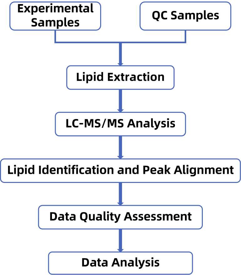 1846094078468018176-TheWorkflowofRelativeQuantitativeLipidomicsAnalysis.png