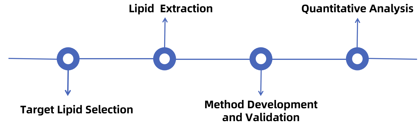 1846094921254686720-TheWorkflowofPRMQuantitativeLipidomicsAnalysis.png